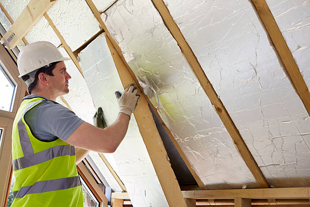 Best Insulation Contractors for Homes  in Park Falls, WI