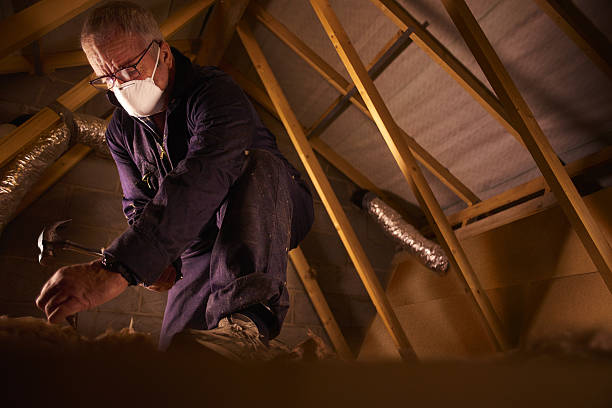 Best Crawl Space Insulation  in Park Falls, WI