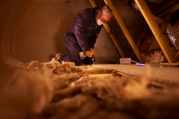 Best Affordable Insulation Services  in Park Falls, WI